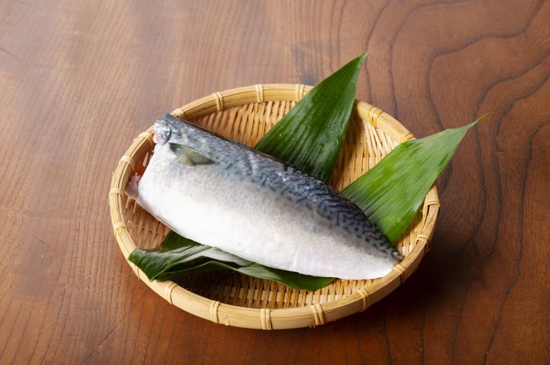 画像1: 【無投薬】ひむか本サバ　フィレ　片身100g〜150g【クール便（冷凍）】 ※「一夜干し」との同梱ができません(送料設定上)。詰め合わせをご希望の場合はお問合せください。 (1)